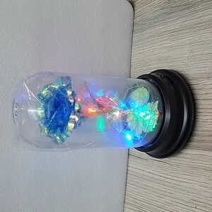 Galaxy Rose Light.